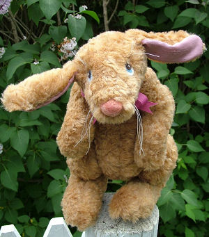 Spring Rabbit