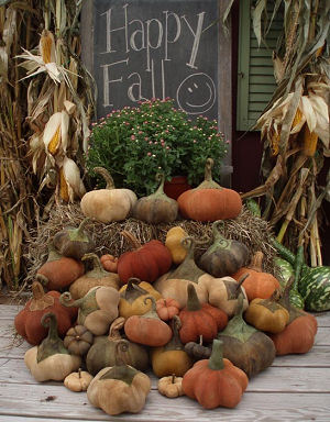 Farmers Field Pumpkins