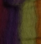 Wool Roving - Fall Harvest