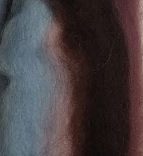 Wool Roving - Seal Shell Stripe